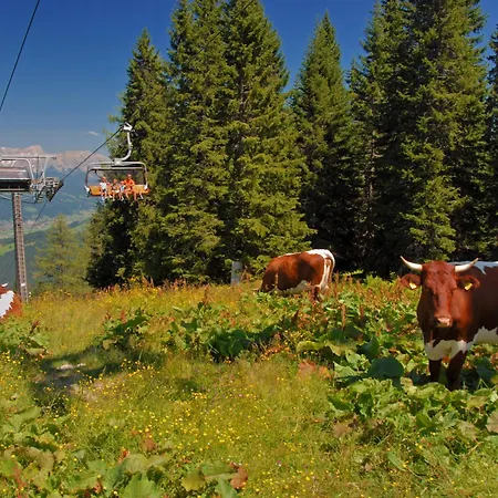 Dachstein By Interhome Flachau